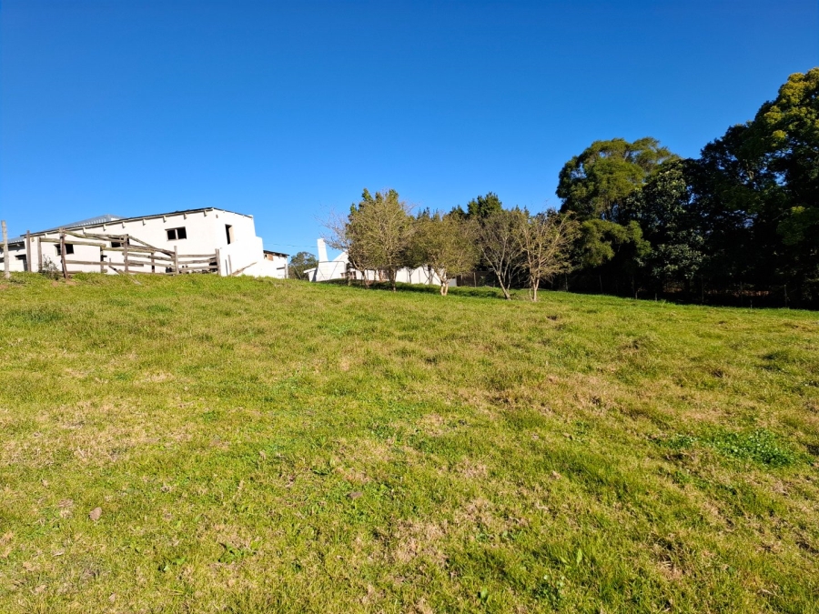 9 Bedroom Property for Sale in Riversdale Rural Western Cape
